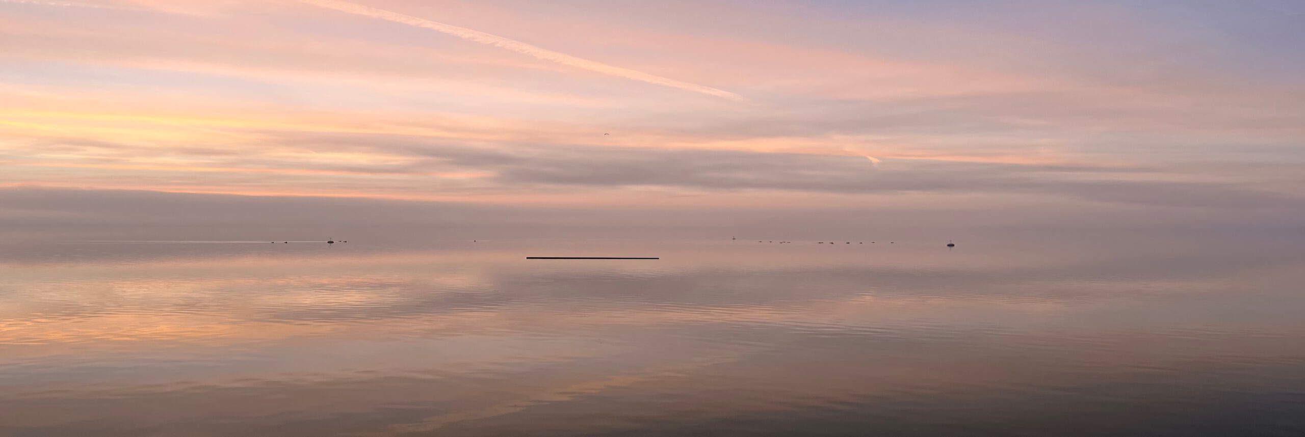 VT_See VT See scaled